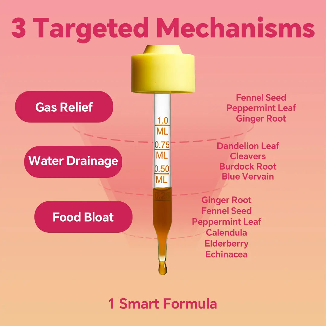 Leefar Cutting Drops – Lymphatic-Focused Debloat Formula with Dandelion, Cleavers, Burdock & Elderberry for Lymphatic Drainage, Bloat Relief, Digestive Comfort and Detox – Mango Dragonfruit Flavor, 30 Servings