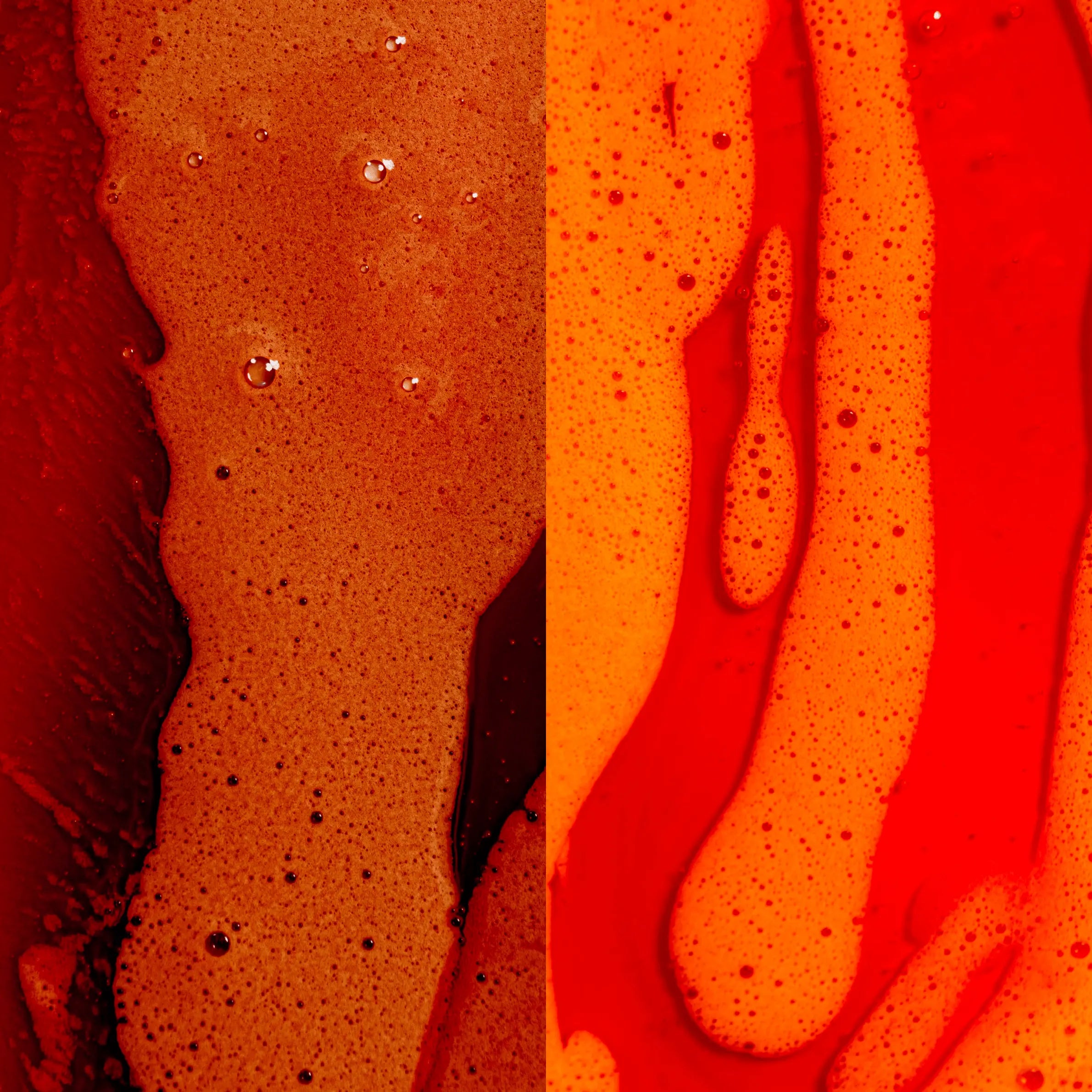 Finally Glossy® + Finally Vibrant® Shampoo Duo